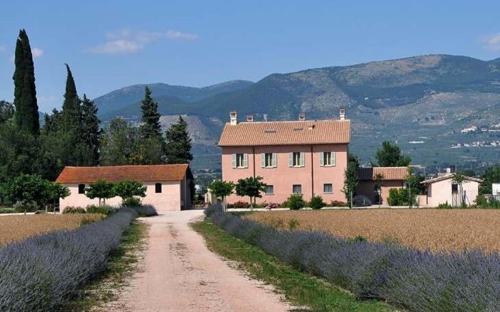 Country House Casco Dell'Acqua Trevi Buitenkant foto