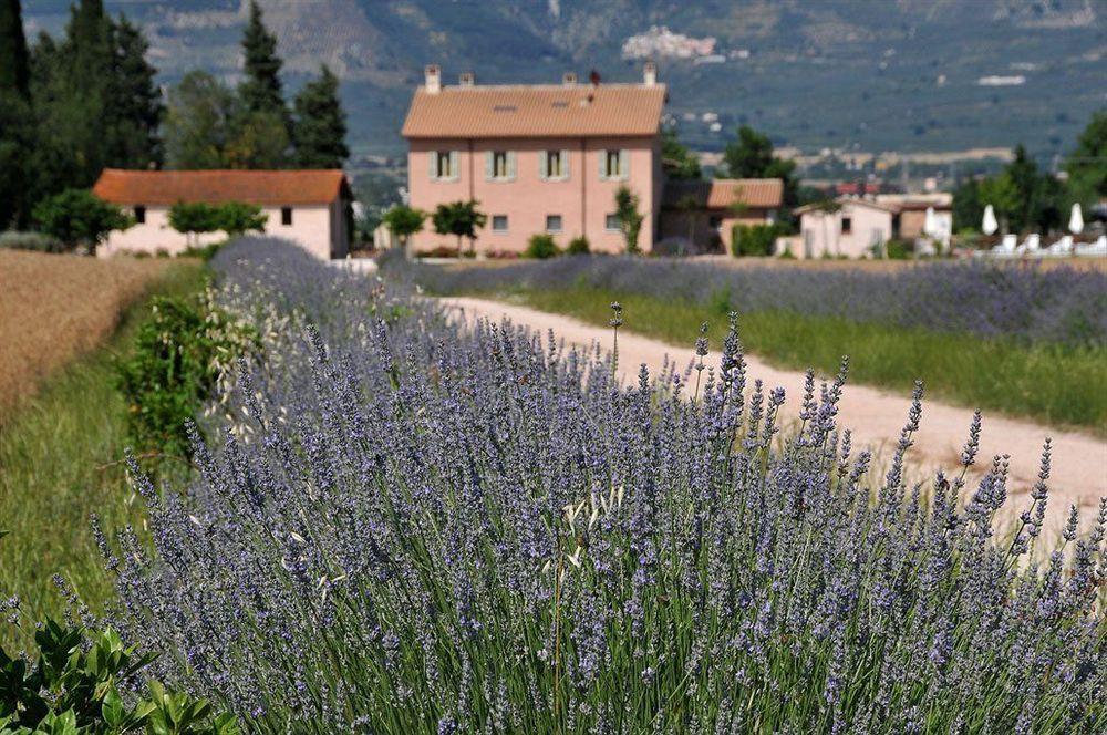 Country House Casco Dell'Acqua Trevi Buitenkant foto