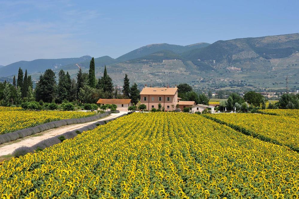 Country House Casco Dell'Acqua Trevi Buitenkant foto